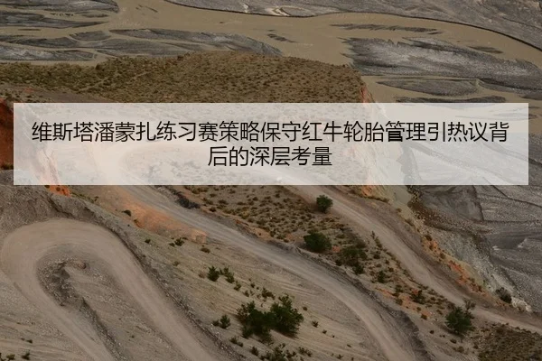 维斯塔潘蒙扎练习赛策略保守红牛轮胎管理引热议背后的深层考量